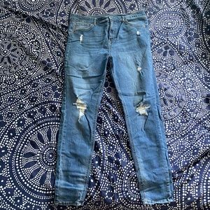 Wild Fable Skinny Jeans